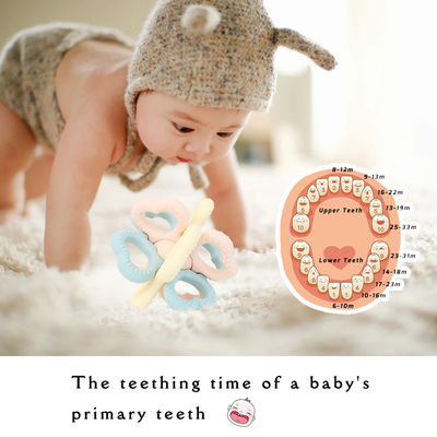 2025 Nowy Niestandardowy Pierścień Silikonowy Miękki 3D Dzieci Babieski Rattle Toy BPA-Free Żywność Grade Zęby Zabawki Strzęsające Miękkie Zęby Zabawki